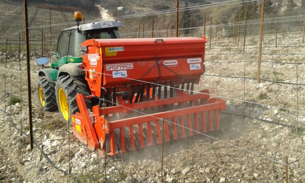 sowing of grass. Now we wait for the rain