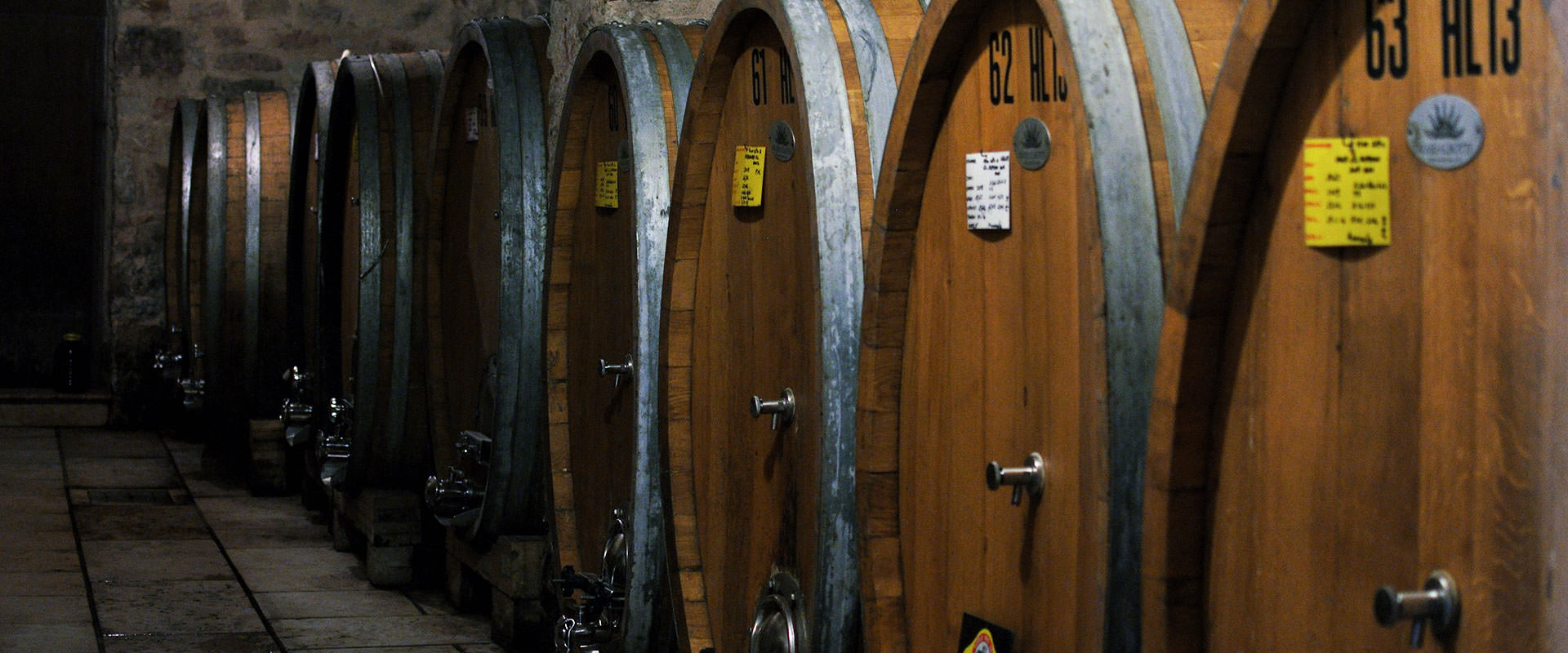 Im herzen der Valpolicella Classica seit 1948 produzieren wir qualitätweine